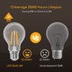 Outlet: EN: LED FILAMENT A60 E27 6W 2700K/CLEAR