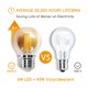 Outlet: EN: LED FILAMENT G45 E27 6W 2200K/AMBER