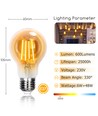 Outlet: EN: LED FILAMENT A60 E27 6W 2200K/AMBER