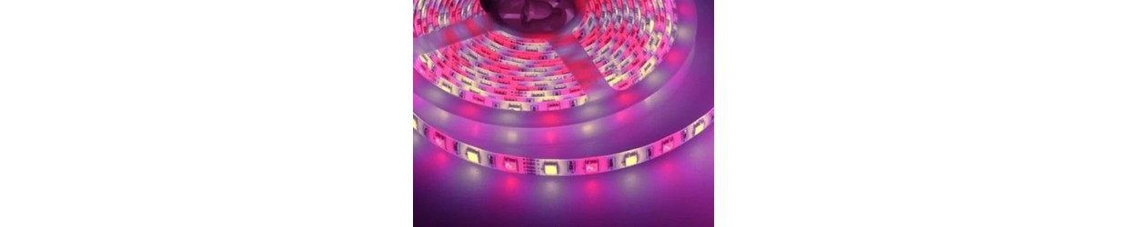 RGB+W LED strip