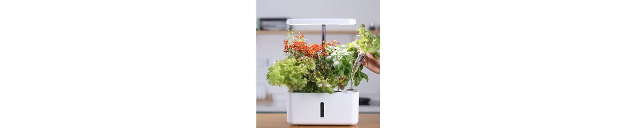 Hydroponisk Odling