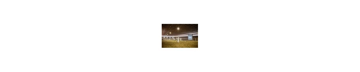 Takbelysning Ridhall