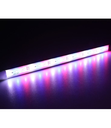 Närbild på LED-dioder i en aluprofil med rött och blått växtljus optimerat för fruktbärande växter.
